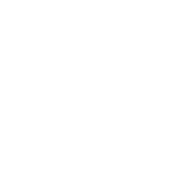 lightning bolt icon