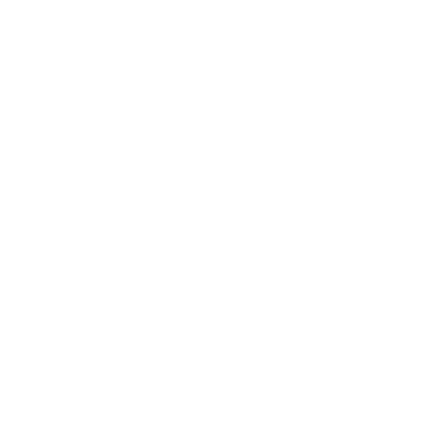 White outline icon of two connected servers representing network infrastructure